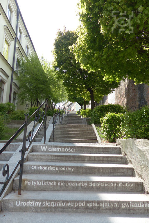 city of Lublin green budget stairs